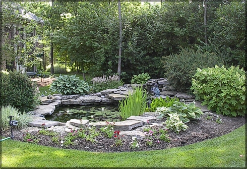 Garden Lily Pond